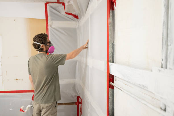Best Residential Mold Inspection & Testing  in Oronoco, MN