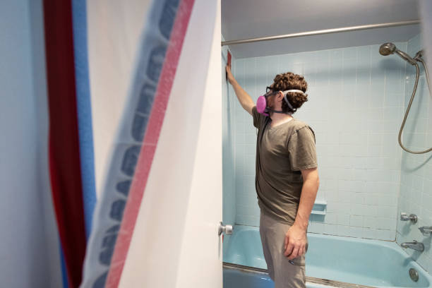  Oronoco, MN Mold Removal Pros