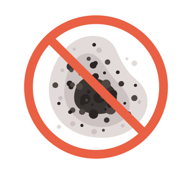 Best Real Estate Mold Inspection  in Oronoco, MN