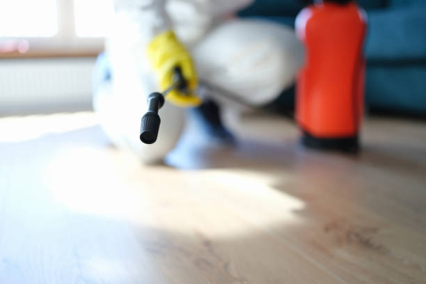 Best Airborne Mold Testing  in Oronoco, MN