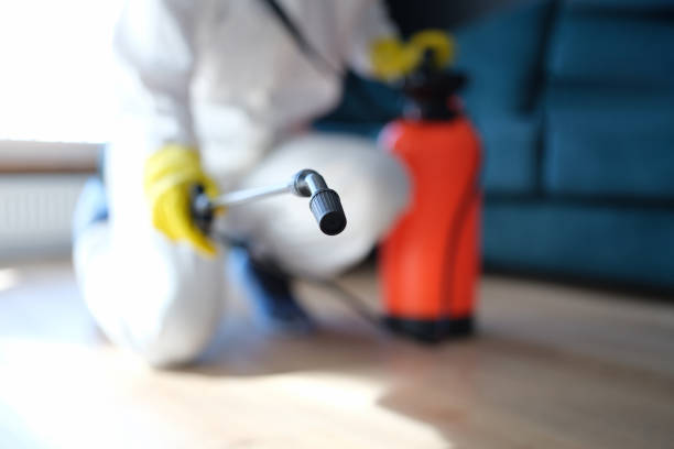 Mold Remediation for Vacation Homes in Oronoco, MN