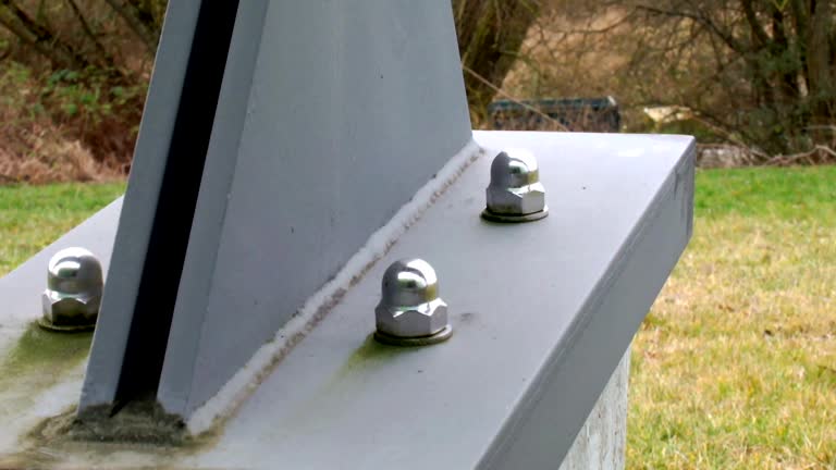 Best Environmental Consulting for Mold Prevention  in Oronoco, MN